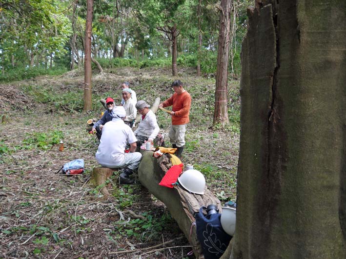 裂けたエノキは座り心地満点の椅子9・30六国見山臨時手入れ_c0014967_2013056.jpg