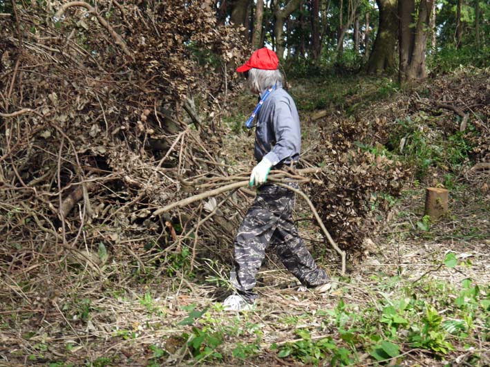 裂けたエノキは座り心地満点の椅子9・30六国見山臨時手入れ_c0014967_20191868.jpg