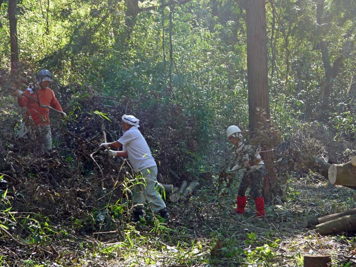 裂けたエノキは座り心地満点の椅子9・30六国見山臨時手入れ_c0014967_2019311.jpg