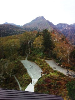 プチ便り(北海道旅行③)_a0206870_23483252.jpg