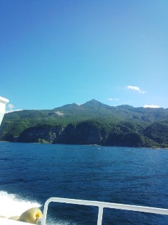 プチ便り(北海道旅行②)_a0206870_26242.jpg