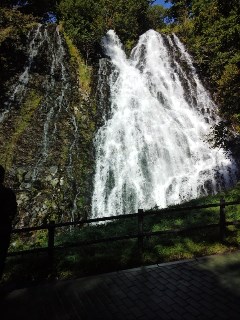 プチ便り(北海道旅行②)_a0206870_273453.jpg