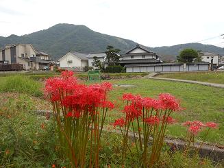 南薫造記念館、秋スケッチ_e0175370_8571821.jpg