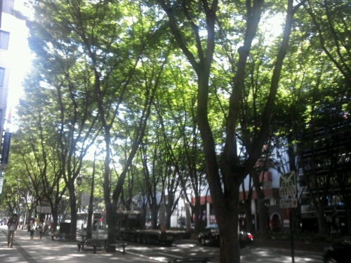 e0255775_21381025.jpg