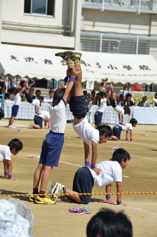 2013☆運動会_b0218981_005099.jpg