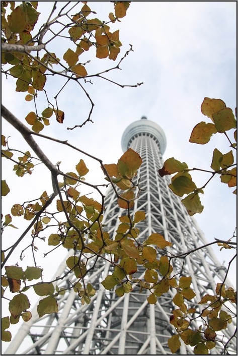 e0027083_20252495.jpg
