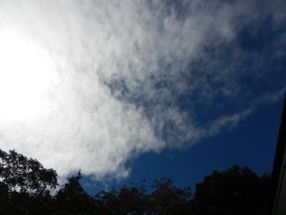 2013年9月30日 いやなんだよなあ_b0098584_22123726.jpg