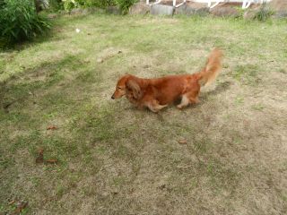 2013年9月30日 いやなんだよなあ_b0098584_22141830.jpg