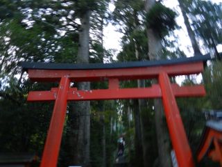 2013年9月30日 いやなんだよなあ_b0098584_22152764.jpg