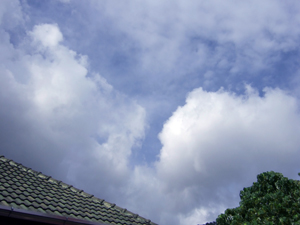 久しぶりに青空が!!_f0144385_11235433.jpg