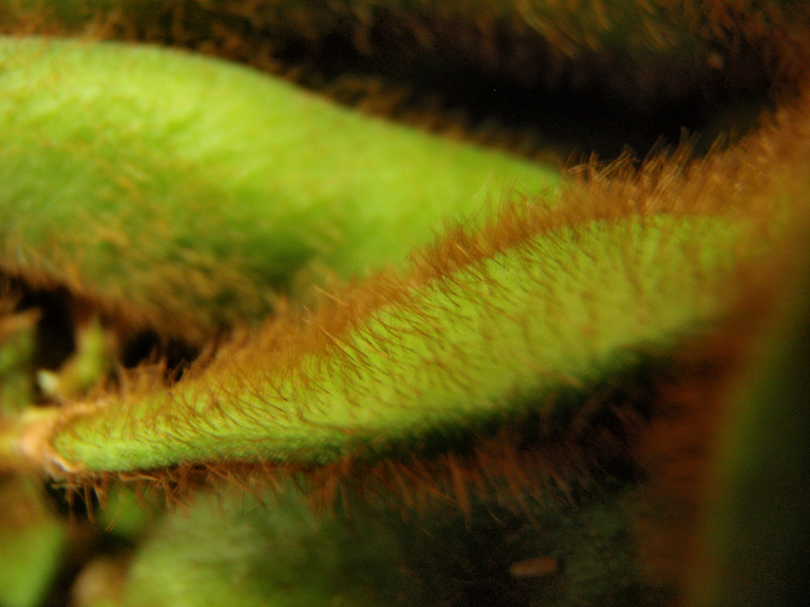 a0007388_1062477.jpg