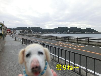 変わらないトコと変わった事_e0222588_1621938.jpg