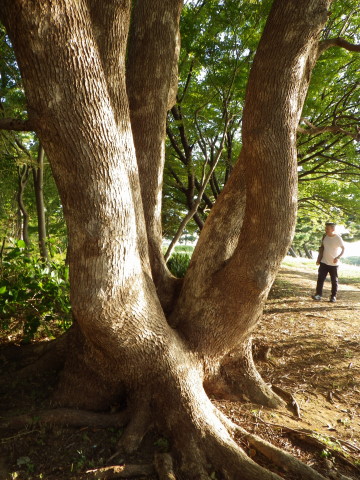 チャリティコース下見会_c0222190_238375.jpg