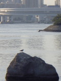 チャリティコース下見会_c0222190_239196.jpg