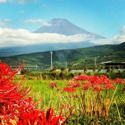 富士山世界遺産と産直ツアー♪_d0144092_18594691.jpg