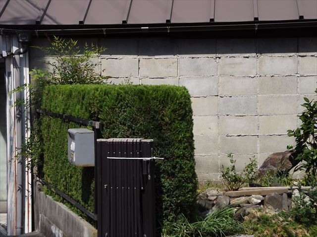 c0108198_180066.jpg