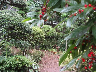 e0033301_1691445.jpg