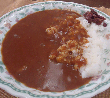 ★お昼はレトルトカレー！－３９：メガ盛りカレー中辛／（ハチ食品） _a0004802_19185074.gif