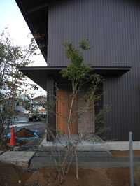 c0049902_19575326.jpg