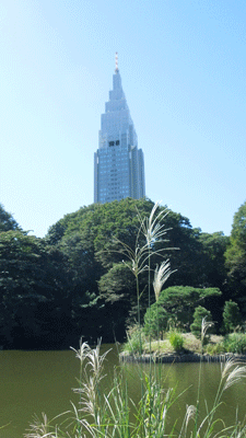 もう10月・・・_c0051105_23133994.gif