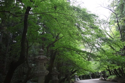 c0041207_16132755.jpg