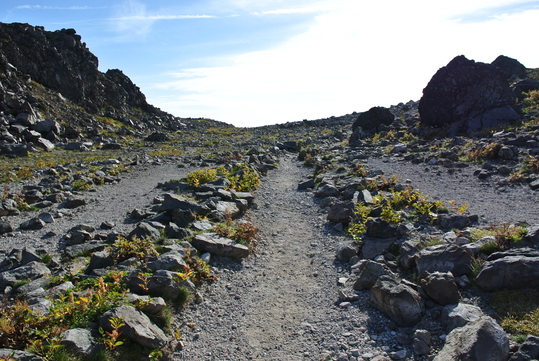 e0252707_855653.jpg