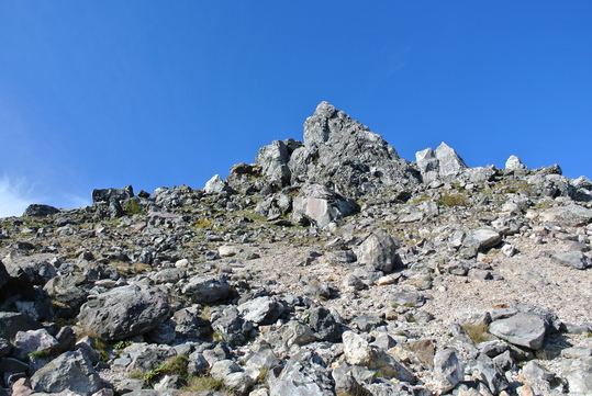 e0252707_8591785.jpg