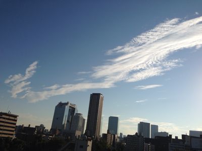 d0154508_15463851.jpg