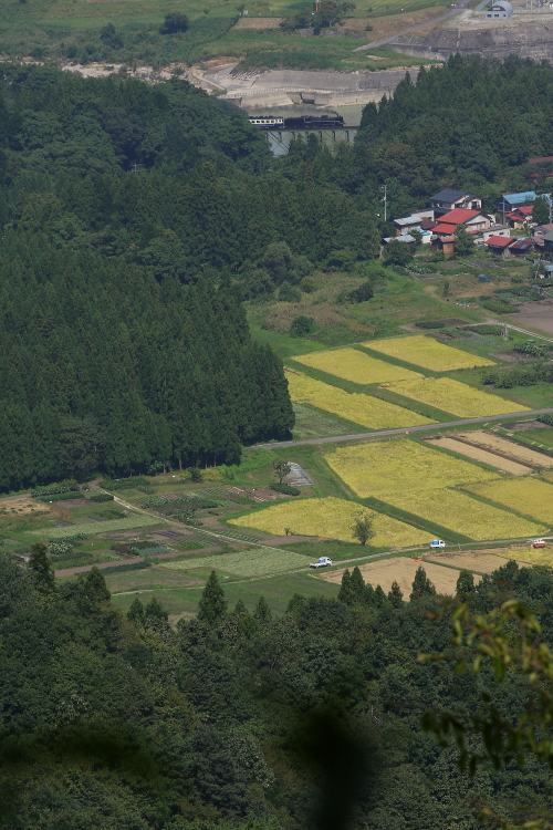 山の上から秋景色の鉄橋が見えた　- 2013年秋・磐西 -  _b0190710_2259388.jpg