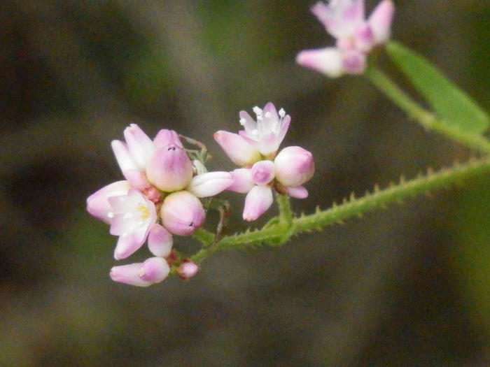 f0219710_13174334.jpg