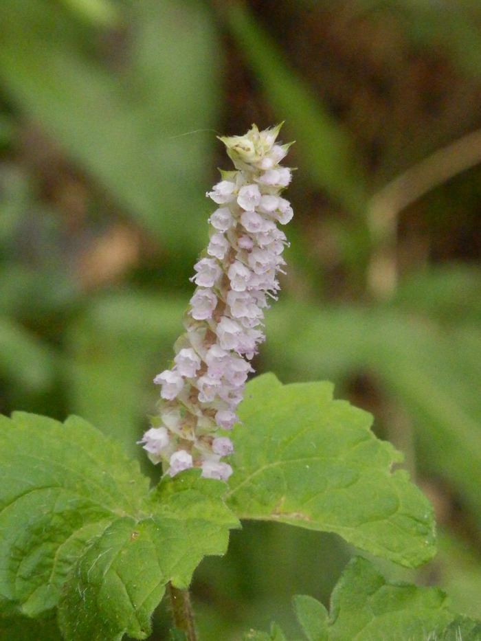 f0219710_13275480.jpg