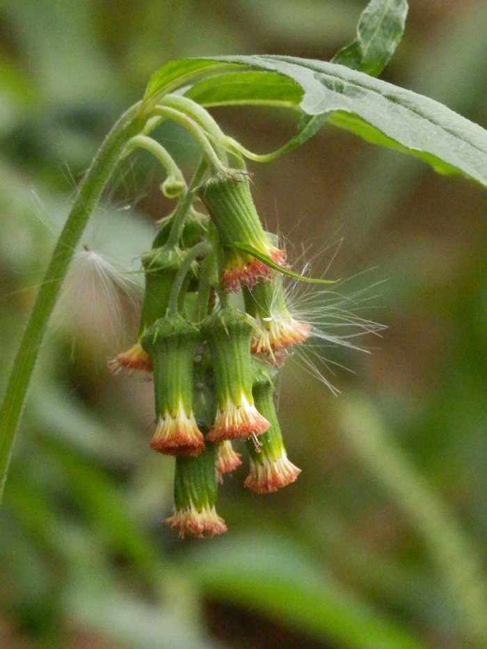 f0219710_13293233.jpg