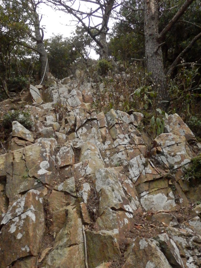 f0219710_13344613.jpg