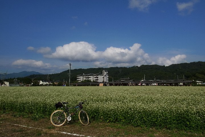 a0268412_0193266.jpg