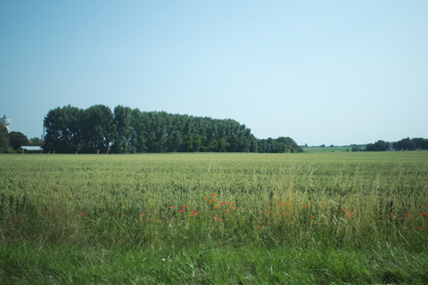 d0063314_23142839.jpg