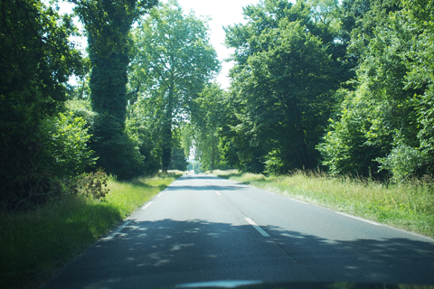 d0063314_23193920.jpg