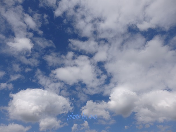 b0289815_9474552.jpg