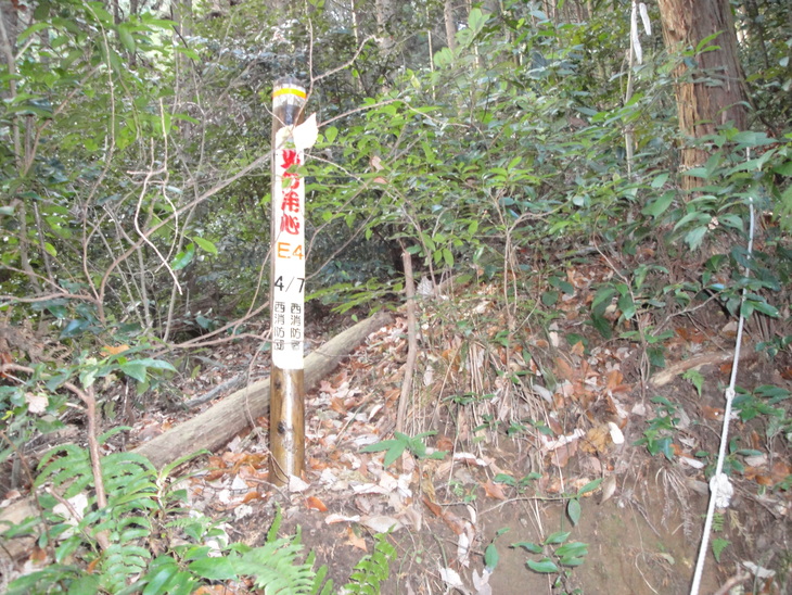 b0291016_18414842.jpg