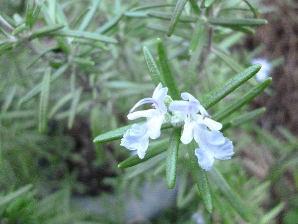 f0228619_98188.jpg