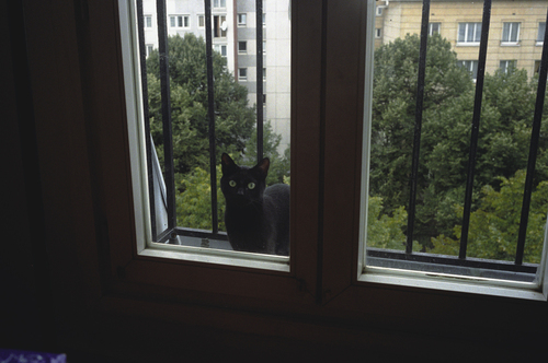 彼_b0212922_23442524.jpg