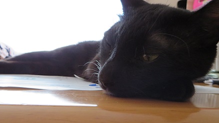 c0280322_1755423.jpg