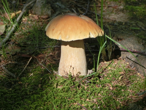 d0136122_1310287.jpg