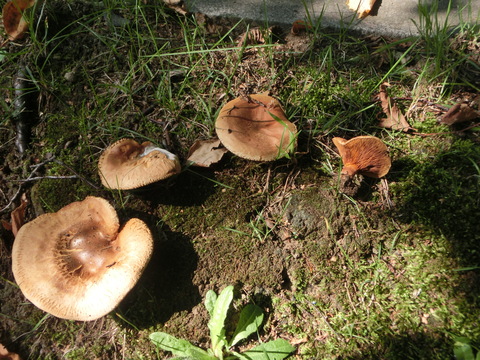 d0136122_13105270.jpg
