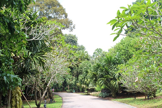c0258123_14562.jpg