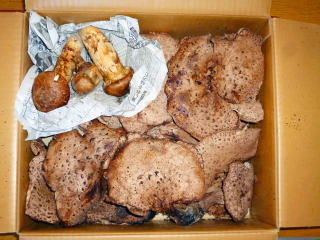 f0235026_14341473.jpg