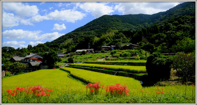 「福岡・糸島再訪 実りの秋の旅路をレポート!」_a0000029_12354214.jpg