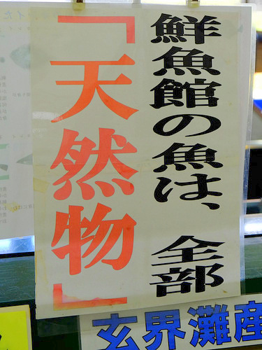 「福岡・糸島再訪 福ふくの里 シャインマスカット」_a0000029_2163848.jpg