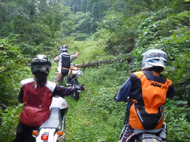 f0041031_1174220.jpg