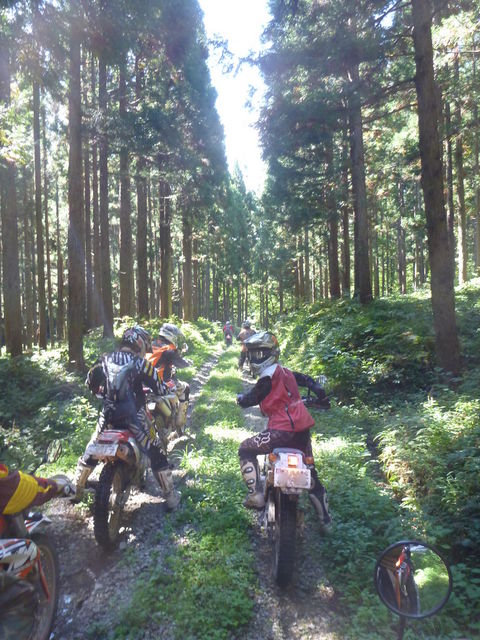f0041031_123588.jpg