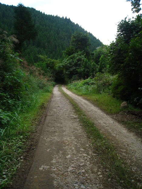 a0233432_22572153.jpg